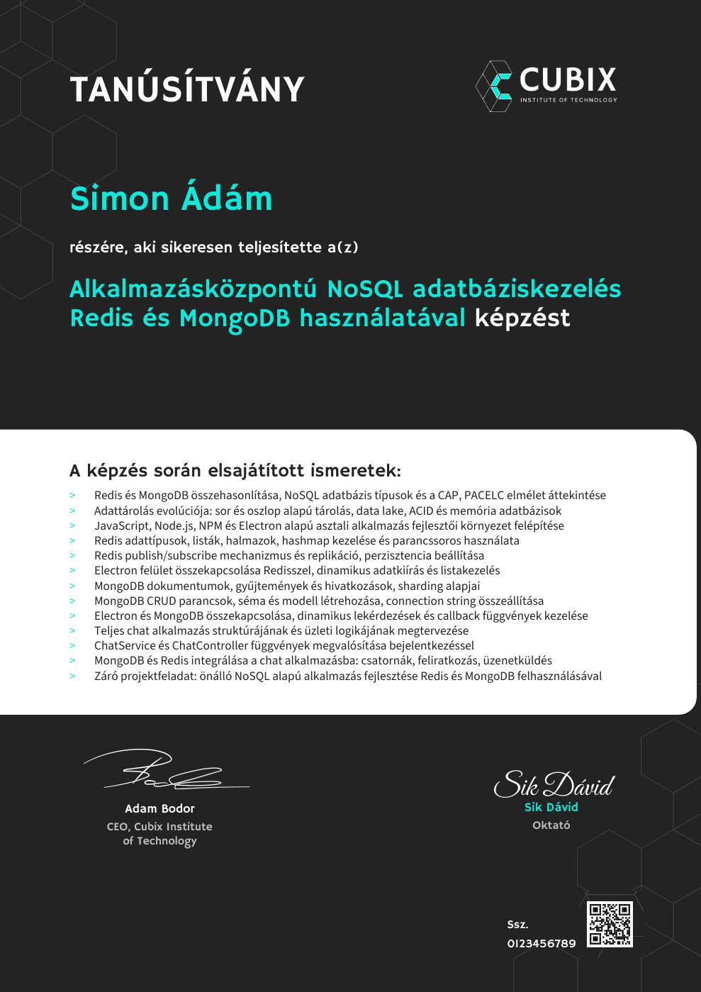 Tanúsítvány minta – Alkalmazásközpontú NoSQL adatbáziskezelés Redis és MongoDB használatával